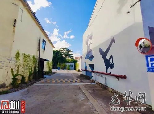 精進業務基石 現代網站建設的關鍵要素與實施策略