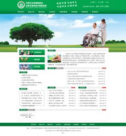 專業(yè)企業(yè)展示型網(wǎng)站建設，打造北京企業(yè)的數(shù)字名片